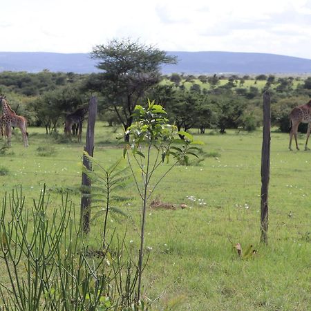 Hotel Kambu Mara Camp Sekenani Esterno foto