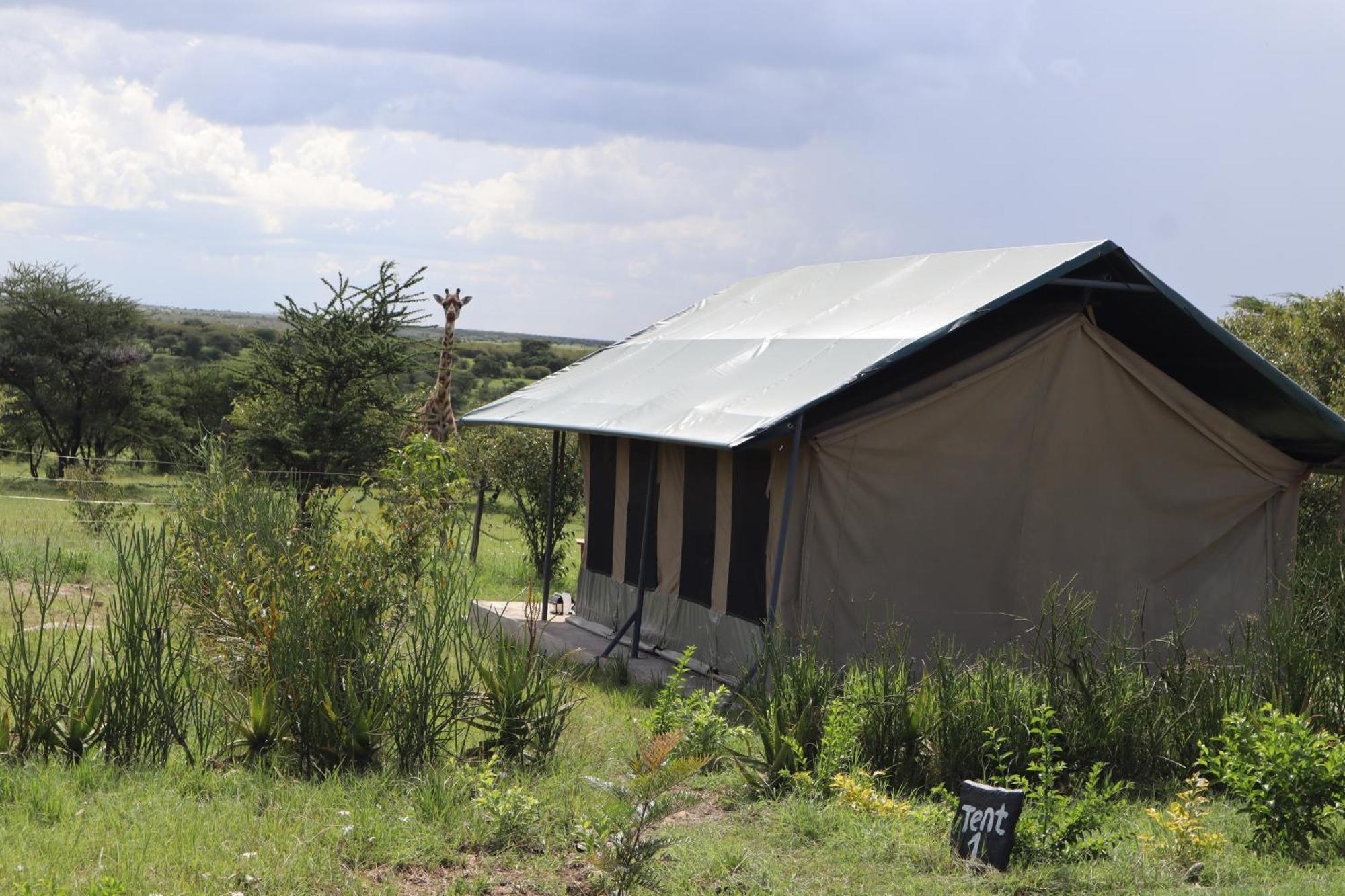 Hotel Kambu Mara Camp Sekenani Esterno foto